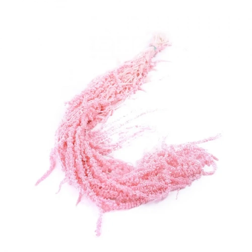 Амарант стабилизированный Розовый 80 См Амарант стабилизированный Розовый 80 См